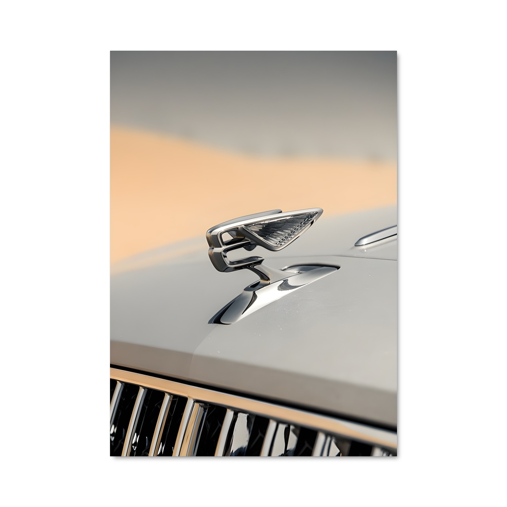 Poster Grille de Luxe